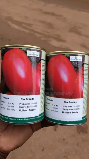 50 Grams Tomato 5000 Seeds