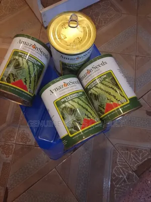 Watermelon Seeds