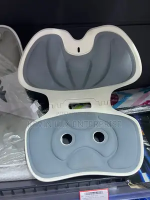 Ergonomic Back Posture Seat