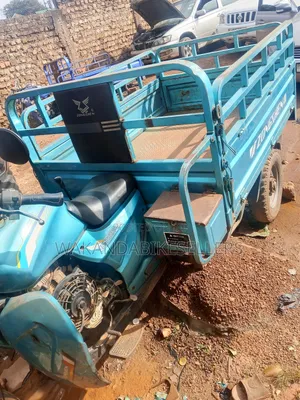 Tricycle 2023 Blue