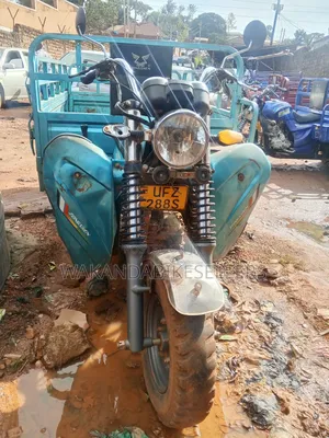 Tricycle 2023 Blue