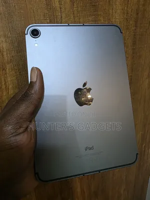 Apple iPad mini 6 64 GB Silver