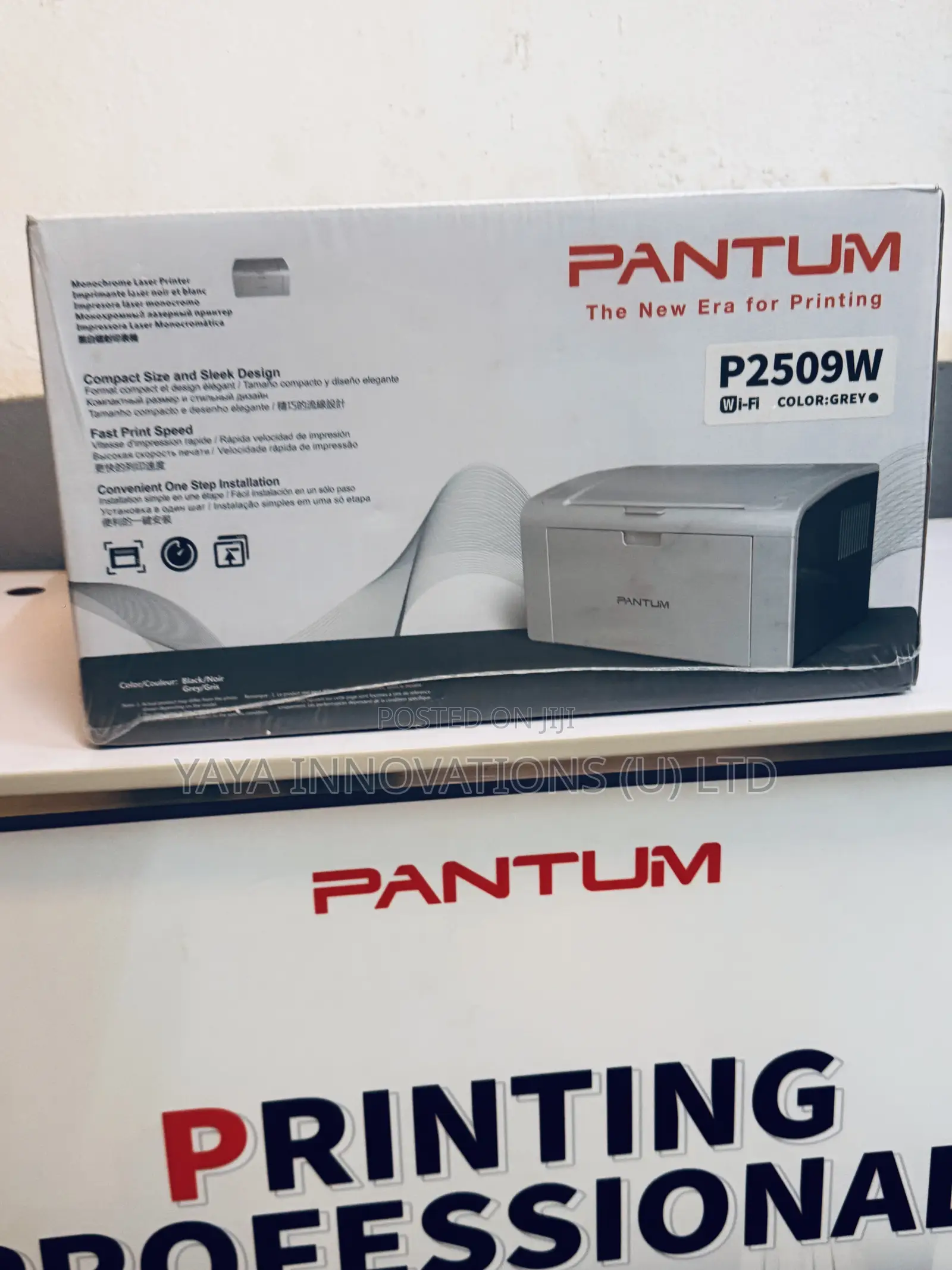A4 Pantum 2509 Printer