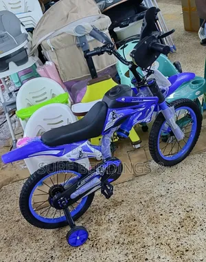 Blue Bike Size 16