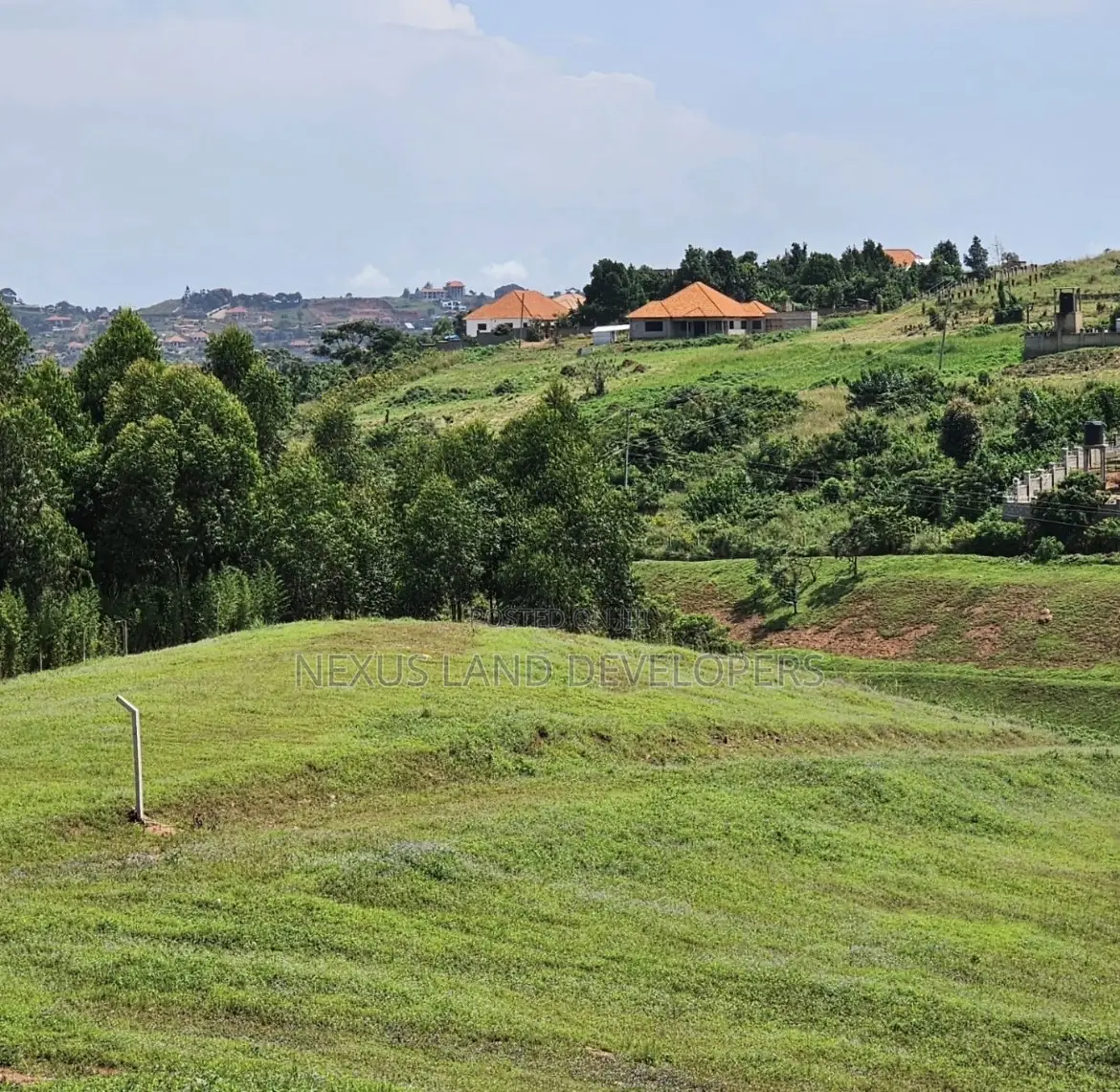 Residential Land 50*100