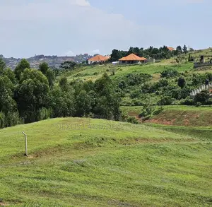 Residential Land 50*100