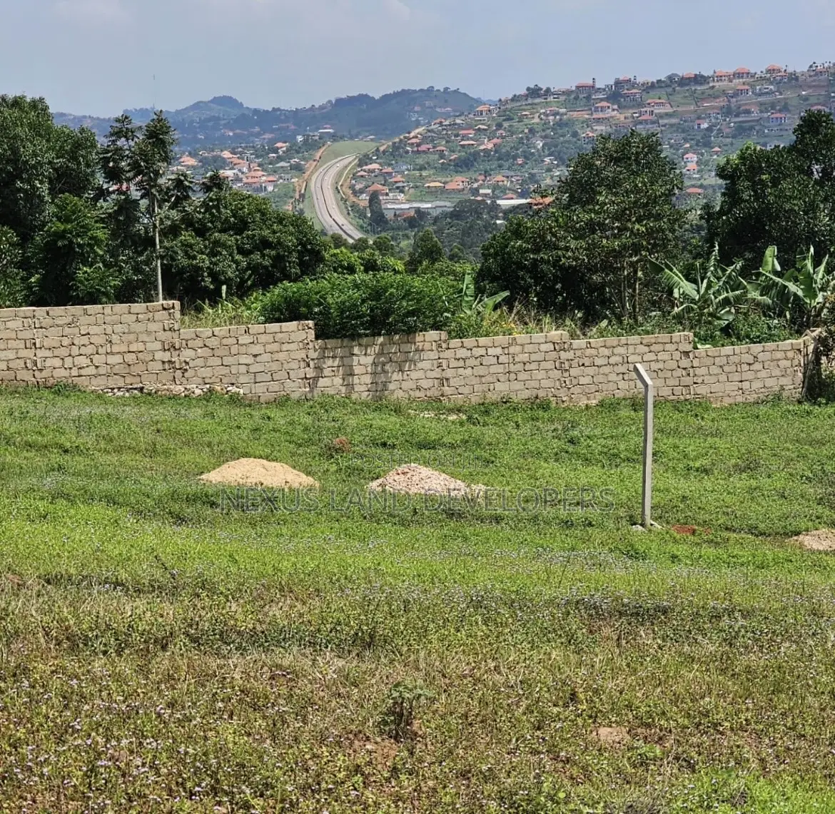 Residential Land 50*100