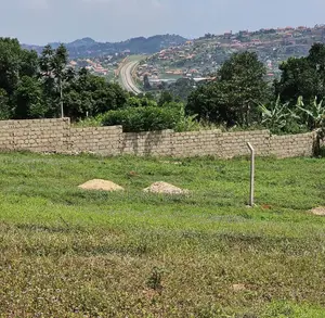 Residential Land 50*100