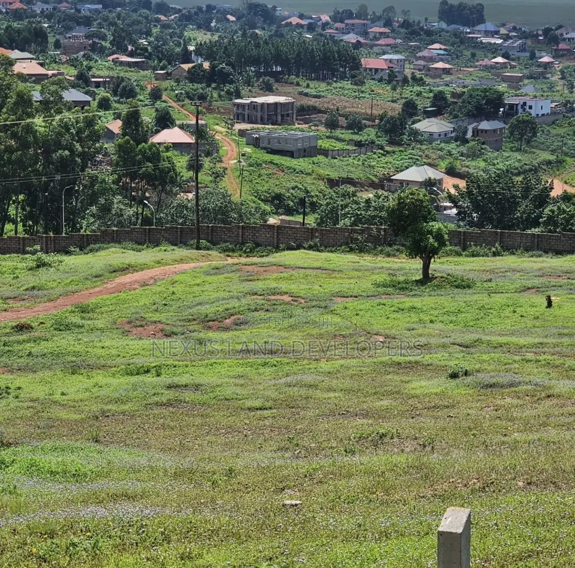 Residential Land 50*100
