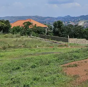 Residential Land 50*100