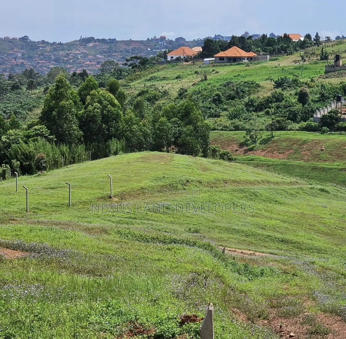 Residential Land 50*100