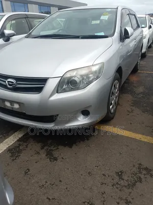 Toyota Corolla Fielder 2011 Silver