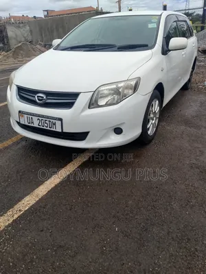 Toyota Corolla Fielder 2010 White