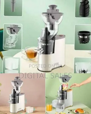Winningstar Quiet Slow Masticating Juicer