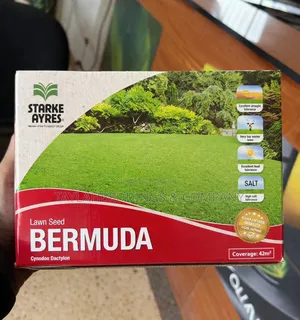 Bermuda Grass Green Couch Grass Superior Seed Coat Quality( Paskalamu)