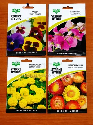 Beautiful Flower Plant Seeds