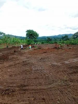 Namayumba Bujimba