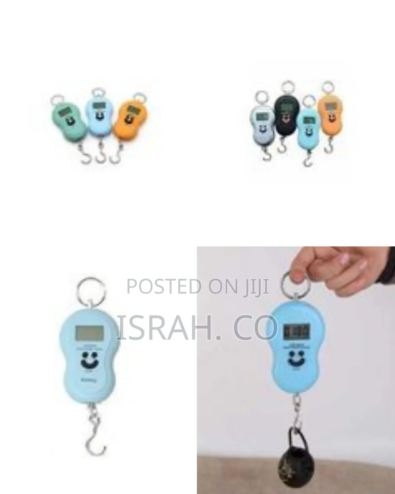 Portable Digital Hanging Scale