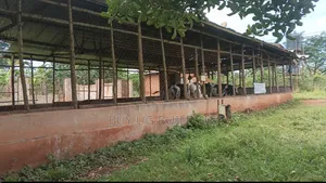 5_acres at 65m Ugx Per Acre Can Take 3acres or All Gayaza Rd Nakasajja