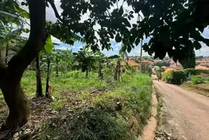 Land for Sale in Naalya 38 Decimals