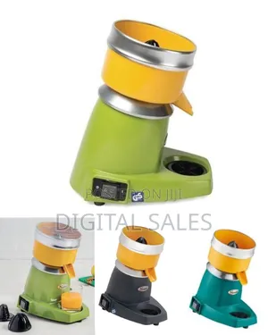 Professional Electric Citrus Juicer