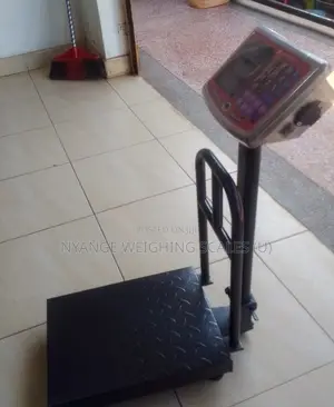 Food Weighing Scale 120kg Weigh Platform Digital Weighing Scale