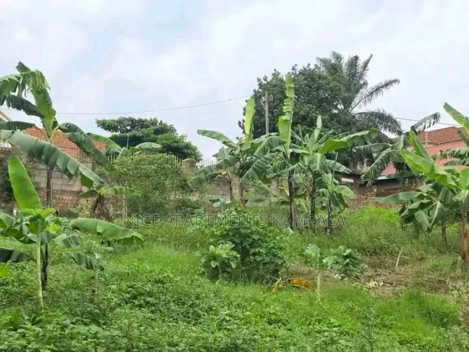 Naalya 35 Decimals Plot for Sale
