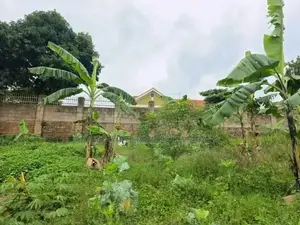 Naalya 35 Decimals Plot for Sale