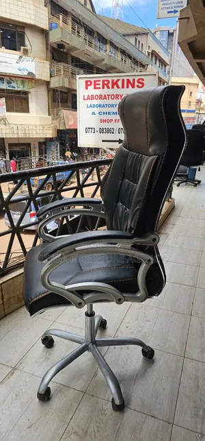 Executive Portable and Flexible Office Chair
