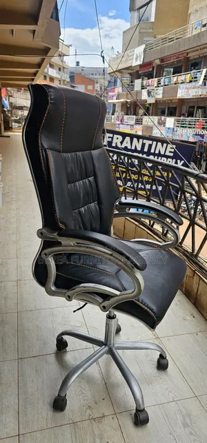 Executive Portable and Flexible Office Chair