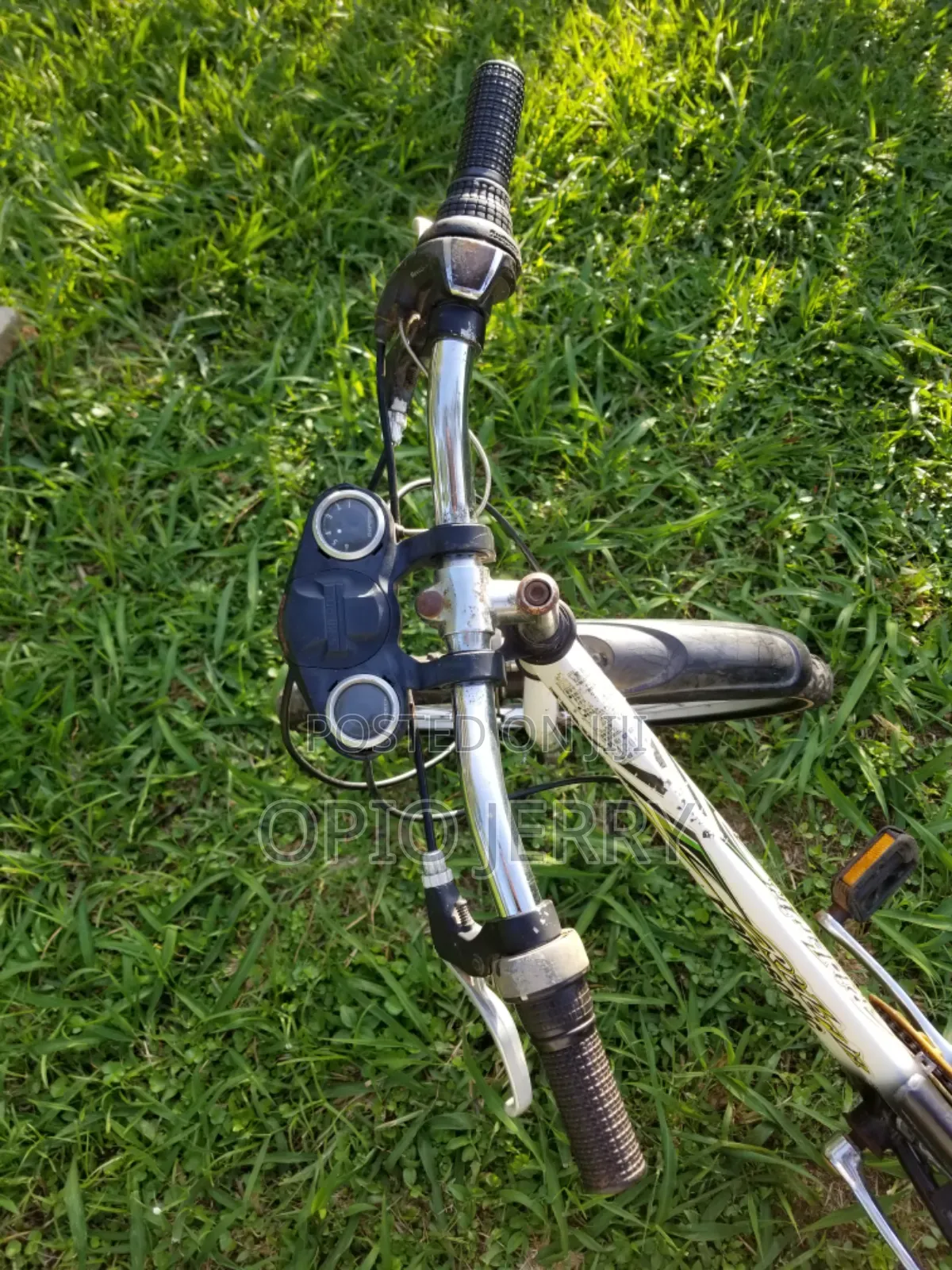 Sports Bicycle