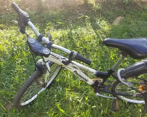 Sports Bicycle