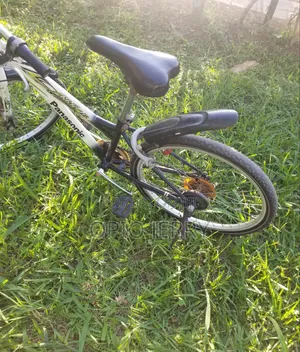 Sports Bicycle