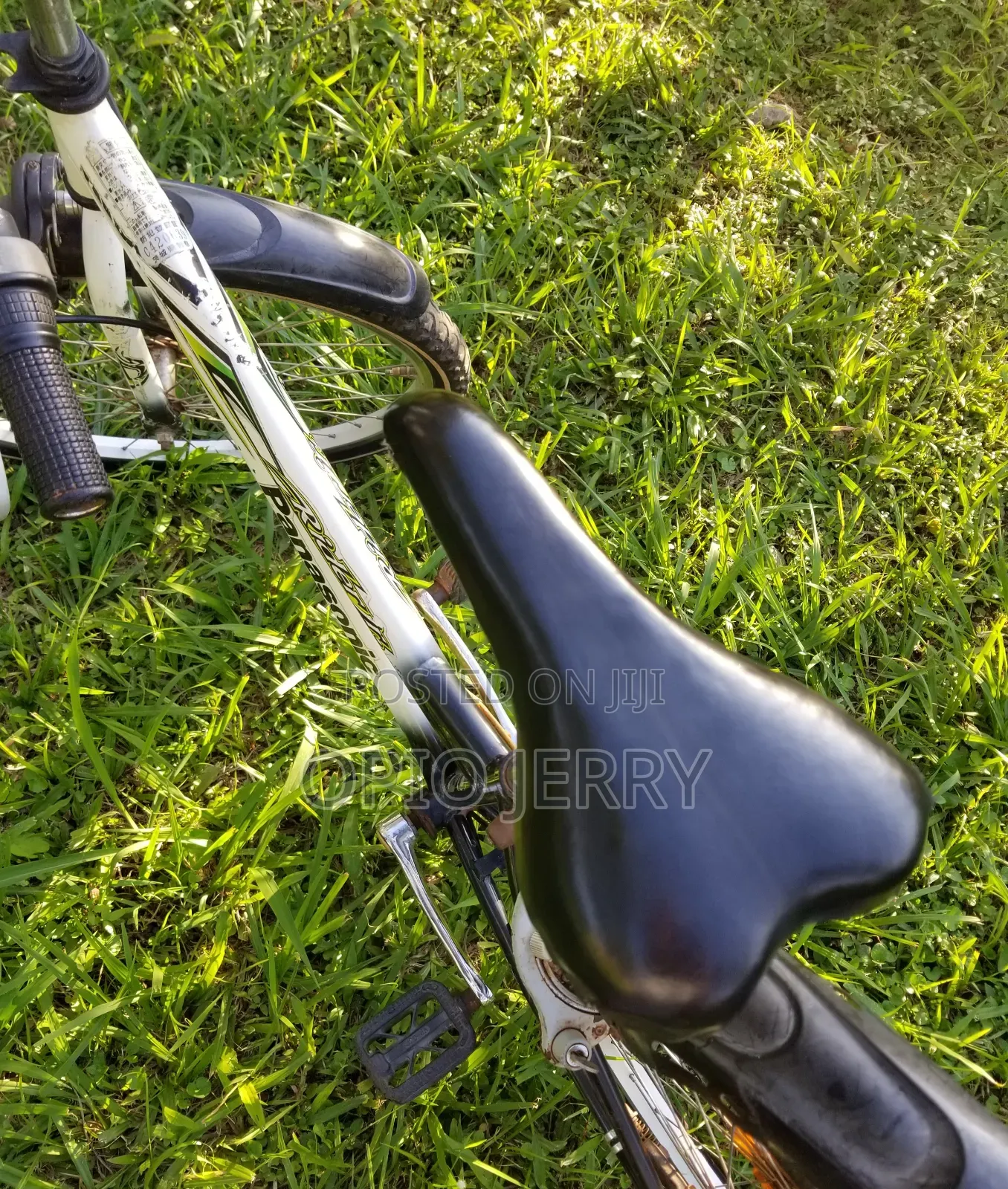 Sports Bicycle