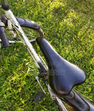 Sports Bicycle