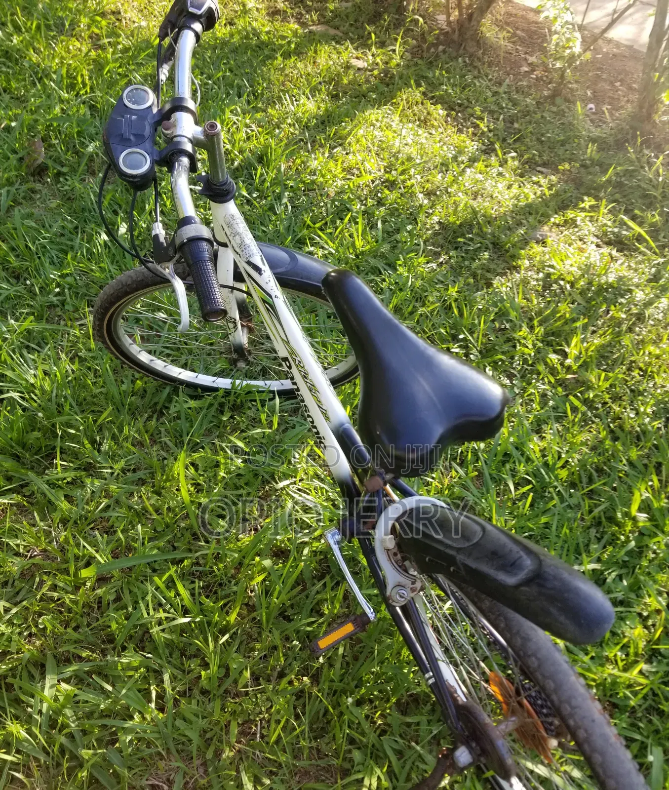 Sports Bicycle