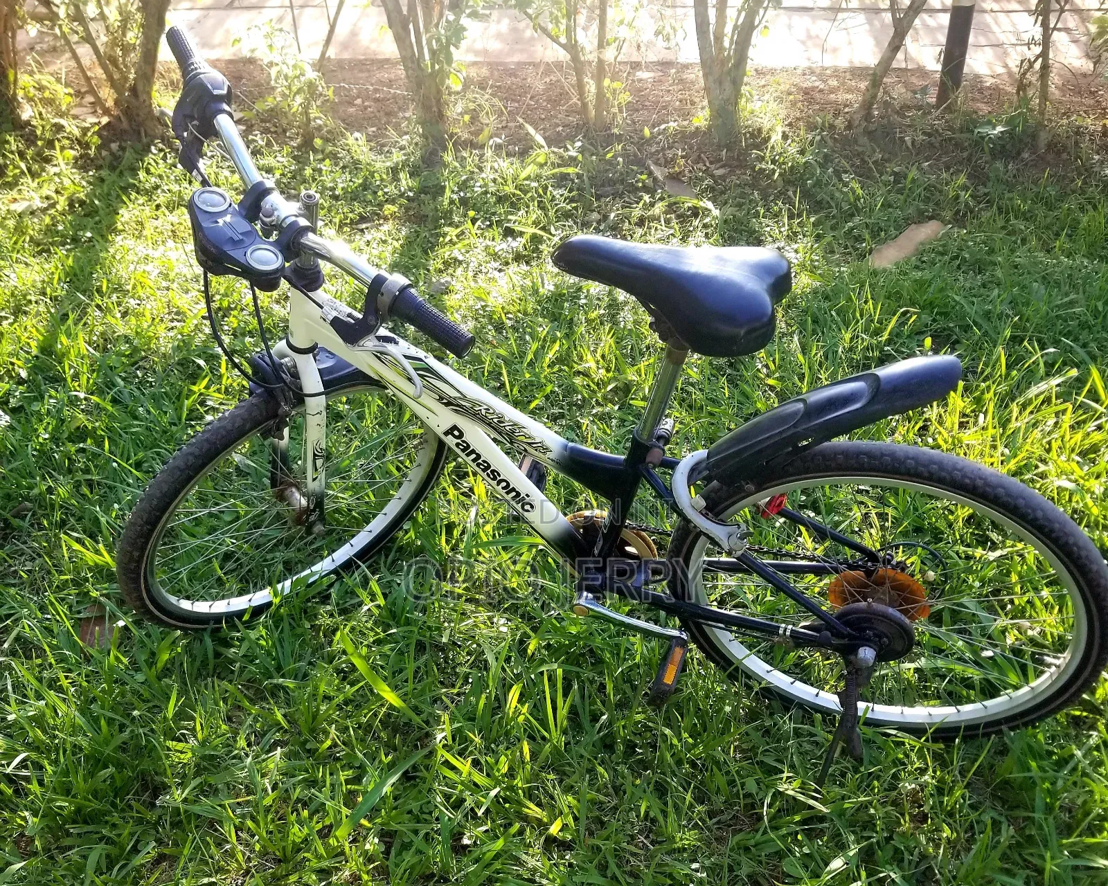Sports Bicycle