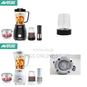 Avinas 4 in 1 Multi-Function Electric Blender Juicer Fruit Mixer