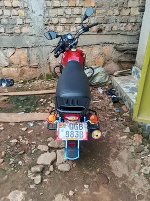 TVS HLX 125 2024 Red
