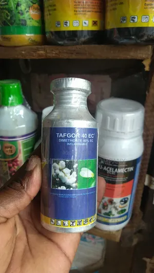 Insecticide Killer And Control In Flowers