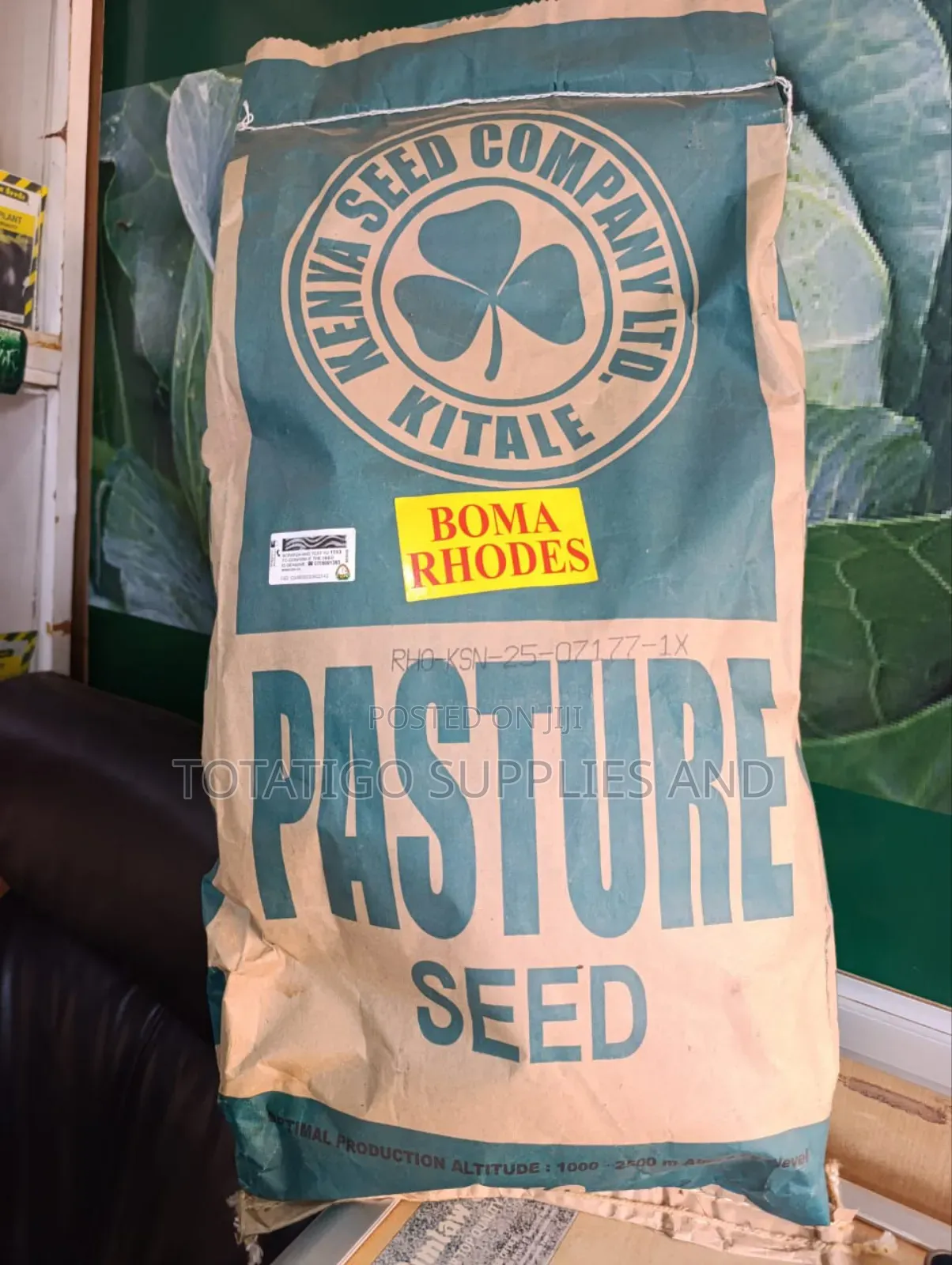 Boma Rhodes Pasture Seeds-1kg