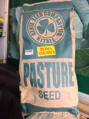 Boma Rhodes Pasture Seeds-1kg