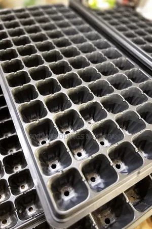 Seedling Trays Having 54 Holes