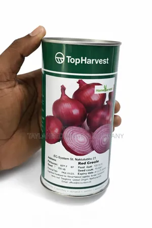250g Onions Seeds