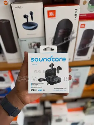 Anker Soundcore P41i Earbuds