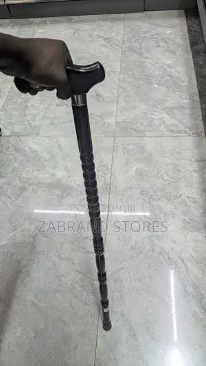 Solid Stand Walking Stick
