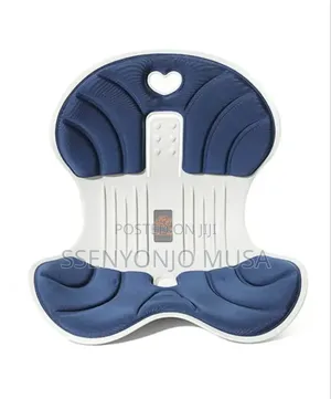 Ergonomic Chair Back Support Lumbar Cushion for Posture Correction