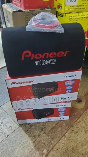 Pioneer Ts-W835 8" Car Subwoofer – Deep, Powerful 1100w Bass