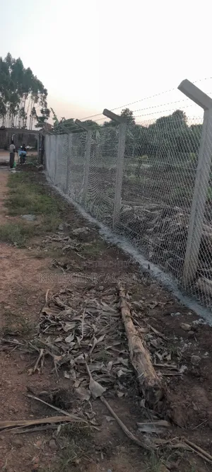 Chain Link Fences