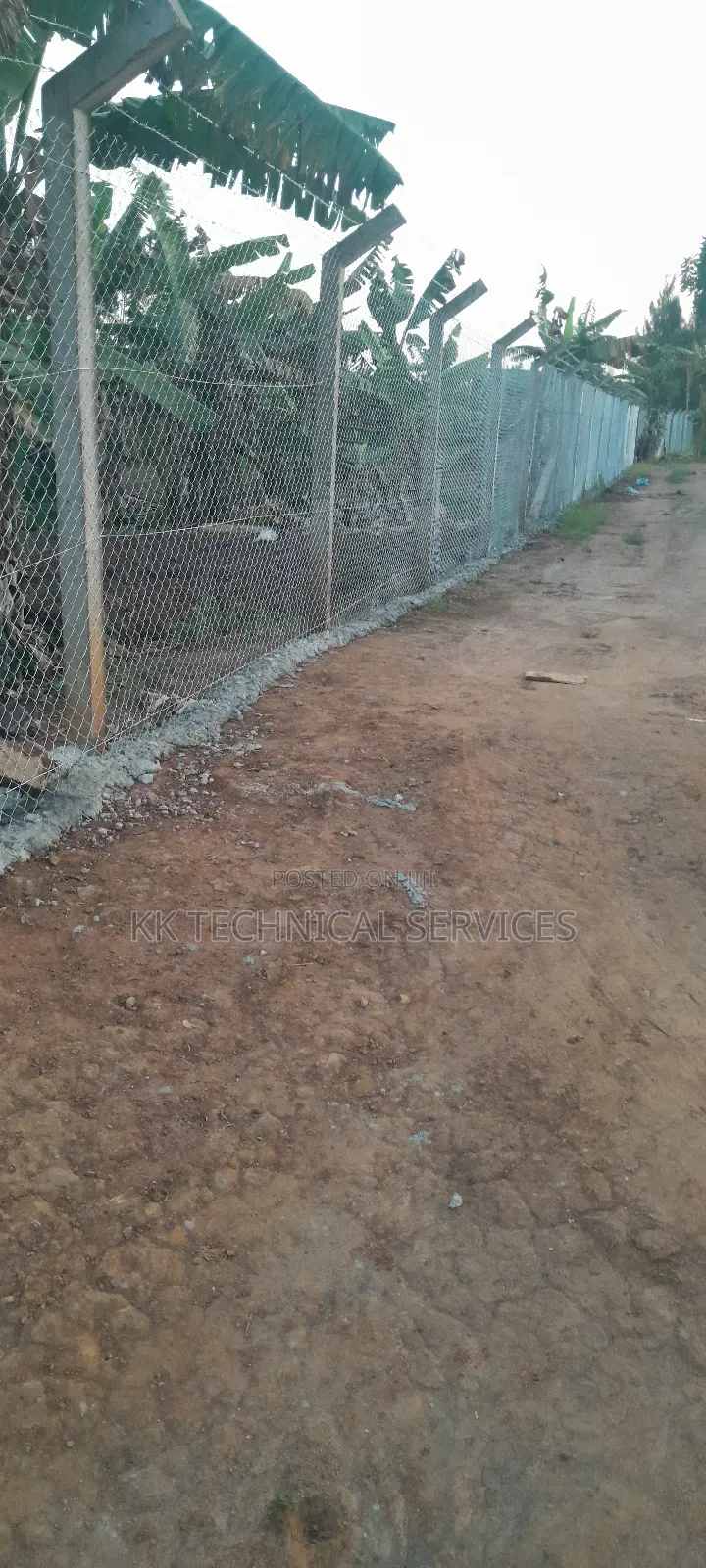 Chain Link Fences